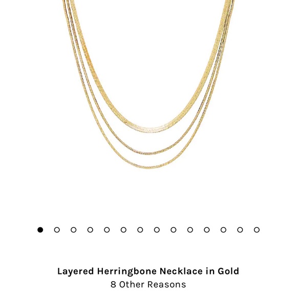 8 Other Reasons Jewelry - Layed Herringbone Necklace, worn once!